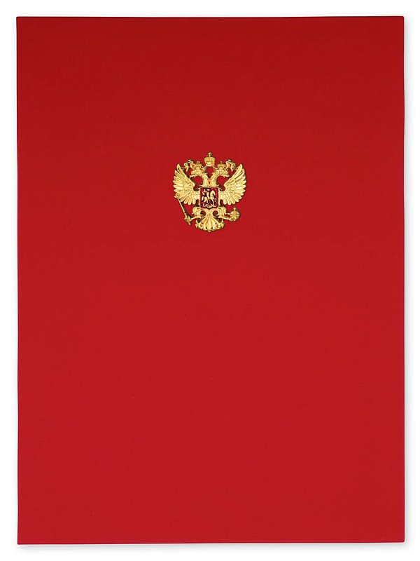 Папка бордо №160_2