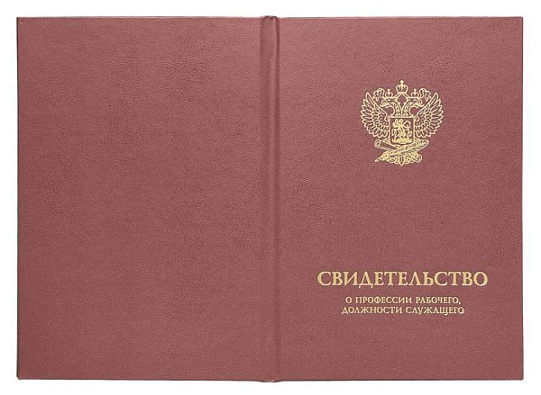 Свидетельство о профессии рабочего, должности служащего, бордо, 110х170 мм