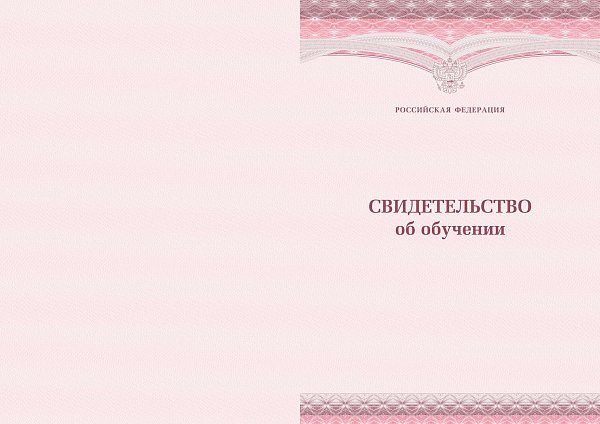 Свидетельство об окончании спортивной школы розовый
