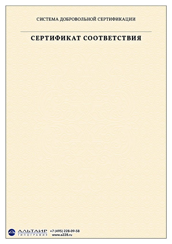 Бланк с защитой "Некопируемая сетка"