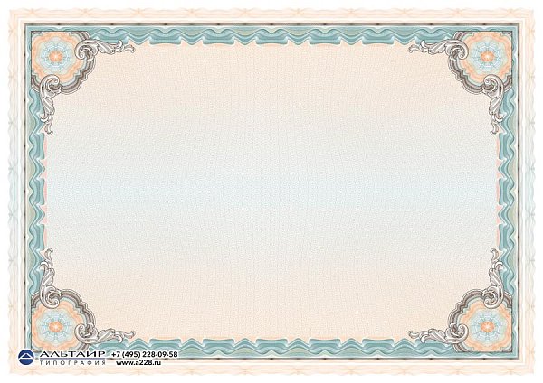 Бланк с защитой "Рубикон", бирюзовый, 10 элементов защиты