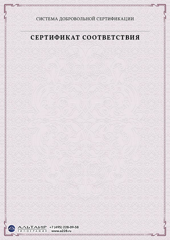 Бланк с защитой "Некопируемая сетка 2"