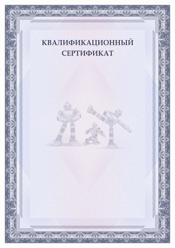 Квалификационный сертификат робототехника