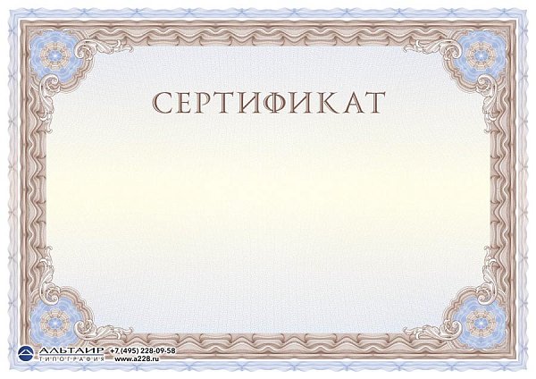 Бланк с защитой "Рубикон", коричневый, 10 элементов защиты