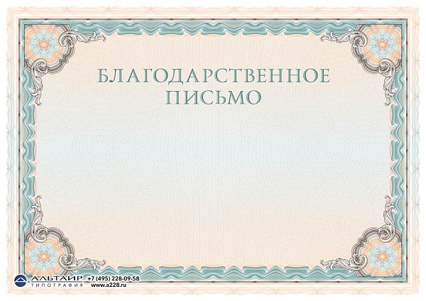Бланк с защитой "Рубикон", бирюзовый, 10 элементов защиты