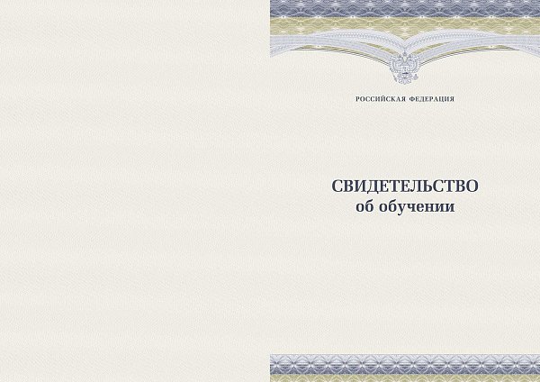 Свидетельство об окончании спортивной школы синий