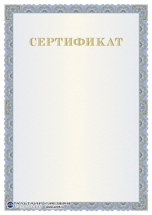 Бланк с защитой "Изразец", синий, 6 элементов защиты