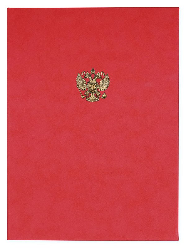 Папка бордо №161_2