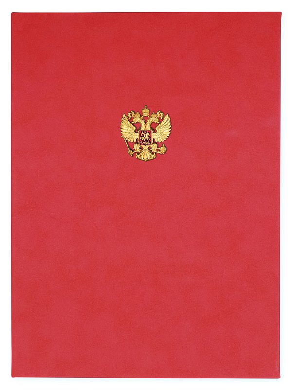 Папка бордо №161_2