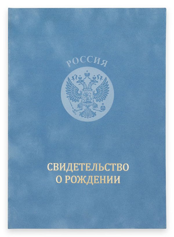 Свидетельство о рождении, бархатная корочка, изящное тиснение (мальчик)