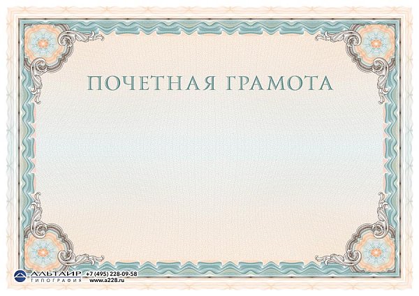 Бланк с защитой "Рубикон", бирюзовый, 10 элементов защиты
