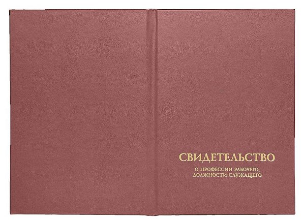 Свидетельство о профессии рабочего, должн. служащего, бордо, 110х170 мм