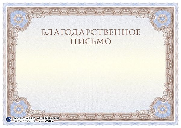 Бланк с защитой "Рубикон", коричневый, 10 элементов защиты