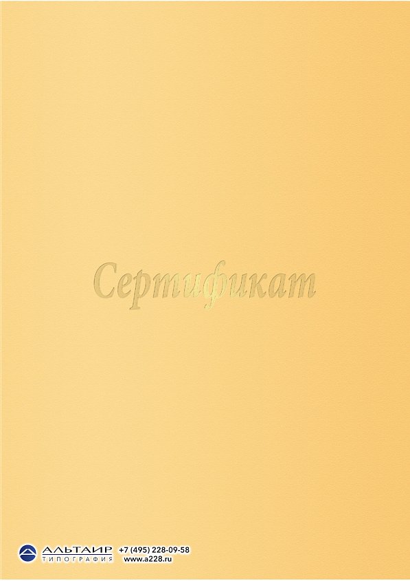 Папка для бланка с самоклеющимся карманом, золотистая