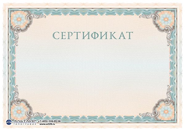 Бланк с защитой "Рубикон", бирюзовый, 10 элементов защиты