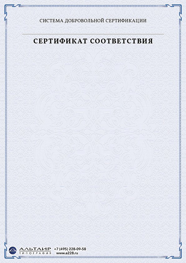 Бланк с защитой "Некопируемая сетка 2"