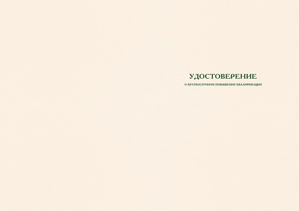 УДОСТОВЕРЕНИЕ  Бланк для учебных учреждений