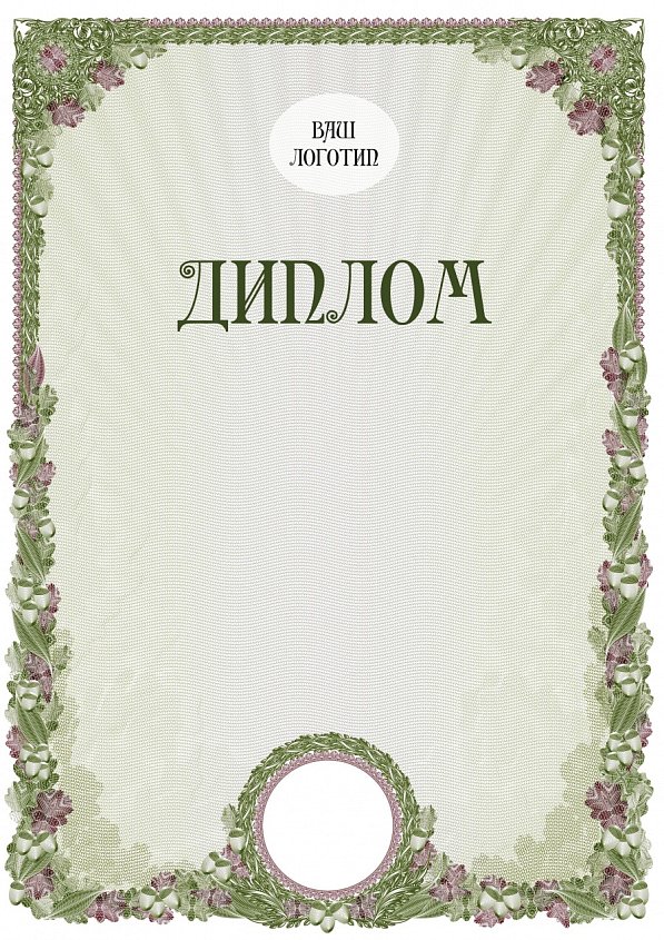 Бланк Диплома