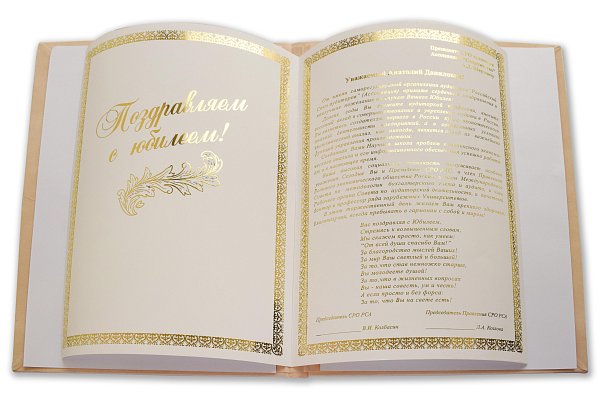 Папка из кремового бархата