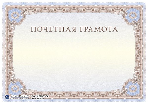 Бланк с защитой "Рубикон", коричневый, 10 элементов защиты