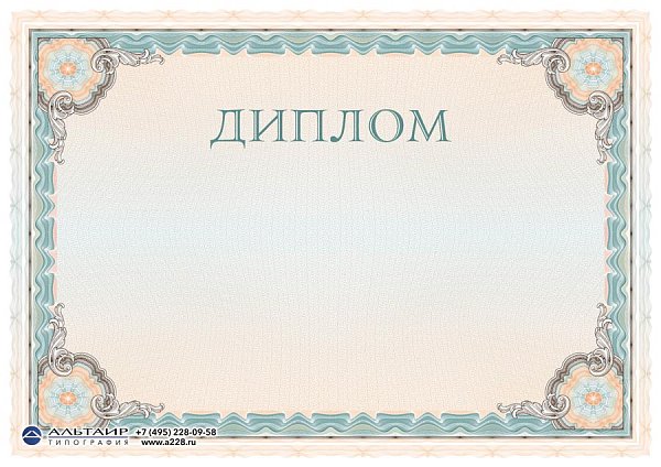 Бланк с защитой "Рубикон", бирюзовый, 10 элементов защиты