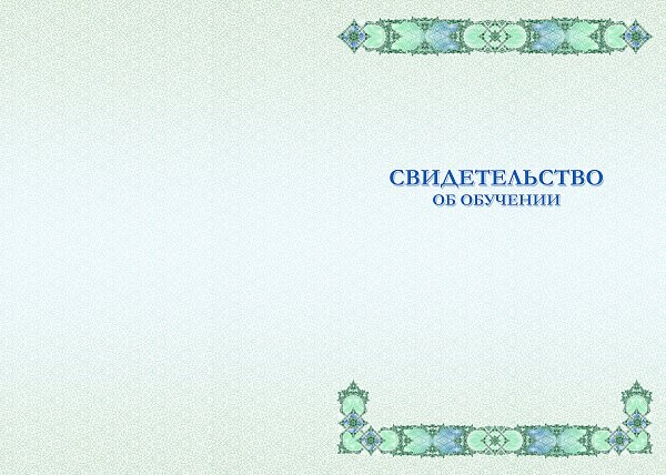Бланк свидетельства об обучении_зеленый