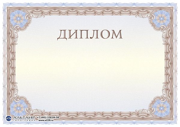 Бланк с защитой "Рубикон", коричневый, 10 элементов защиты