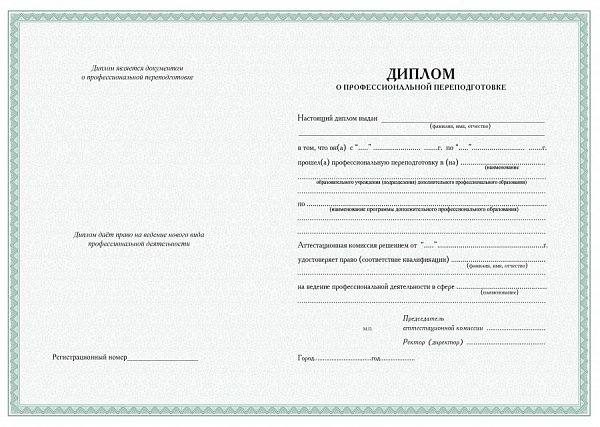 Бланк диплома о профессиональной переподготовке_тонкая рамка