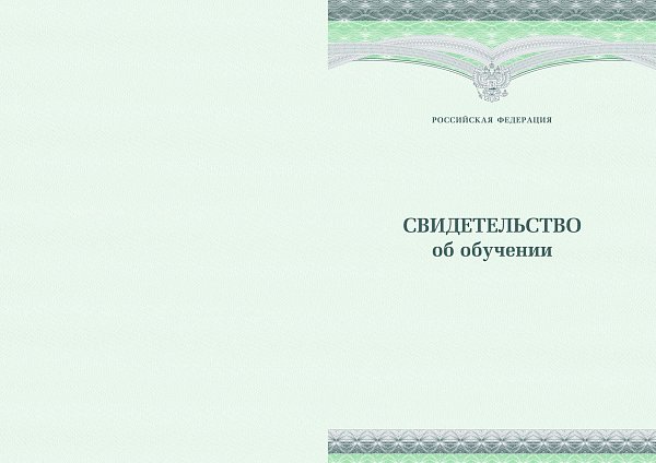 Свидетельство об окончании спортивной школы зеленый