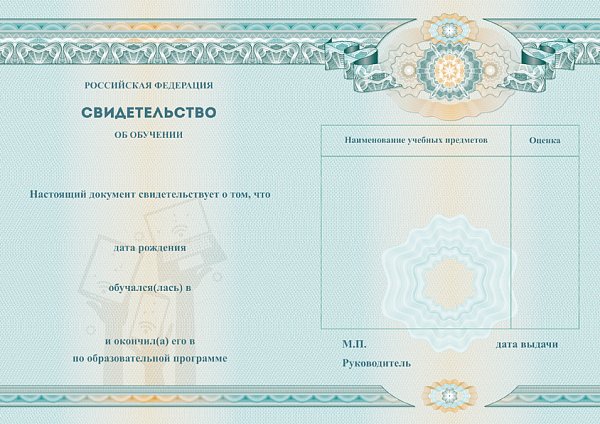 Бланк свидетельства об обучении по информатике