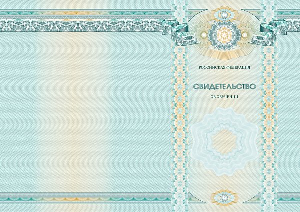 Бланк свидетельства об обучении по информатике