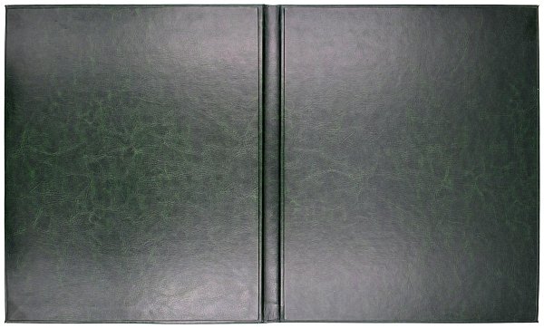 Папка зеленая, кожзам с тиснением герба РФ