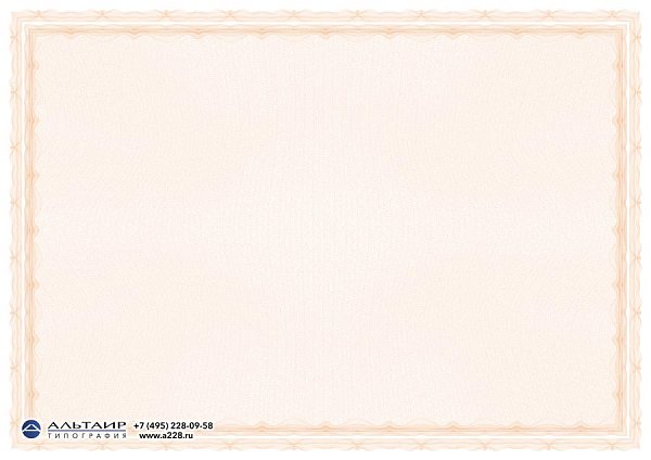 Бланк с защитой "Рубикон", бирюзовый, 10 элементов защиты